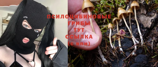 бутират Балабаново
